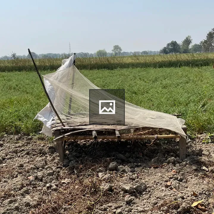 Rustic bamboo shelter in field