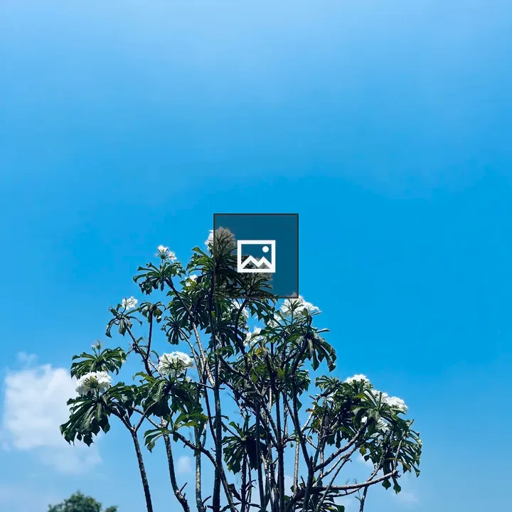 Flowers in Branches