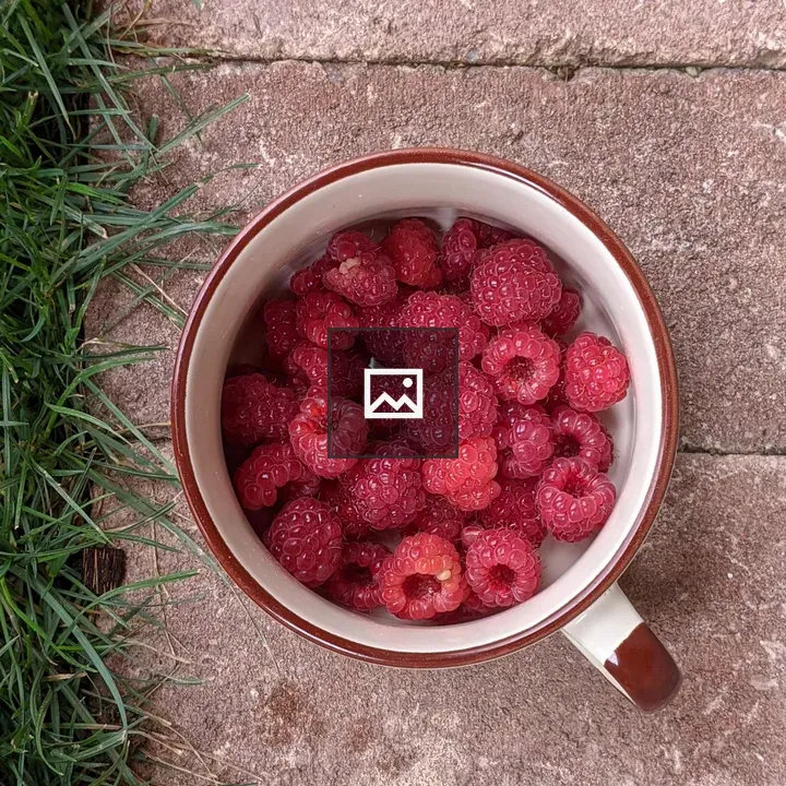 Small Ceramic Cup with Raspberries