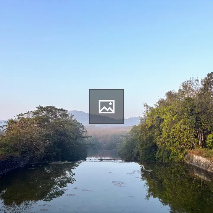 Waterfall in River with Forest