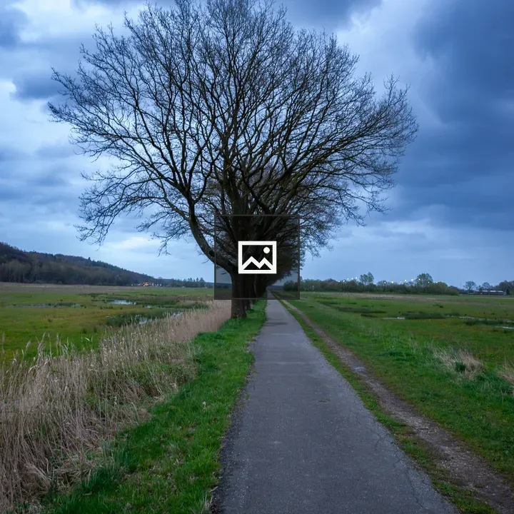 Path in Nature Reserve De Diepen