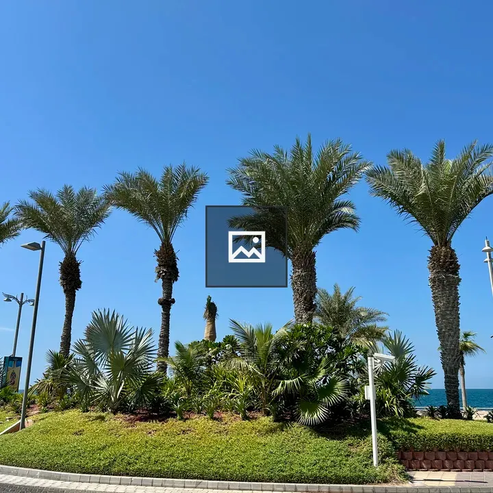Palm trees at sea side
