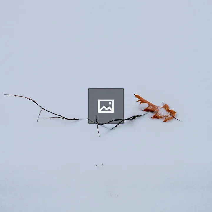 Orange leaf on snow