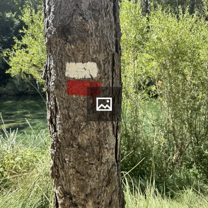 Hiking trail marker on tree