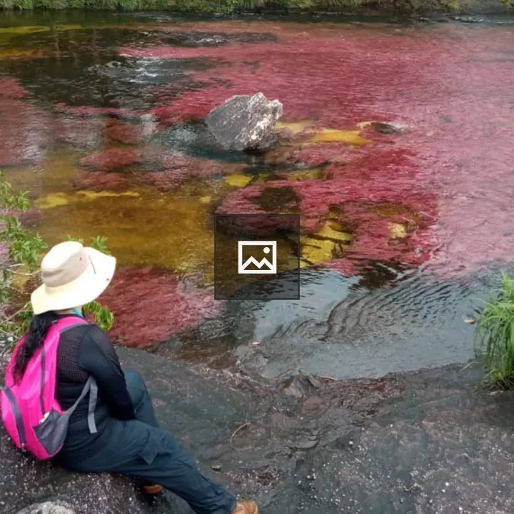 Person by riverbank with pink backpack