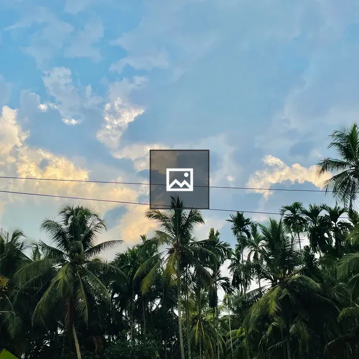 Sky at Sunset Over Pantheeramkavu