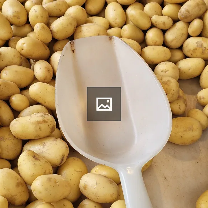 Potatoes with Scoop in Market