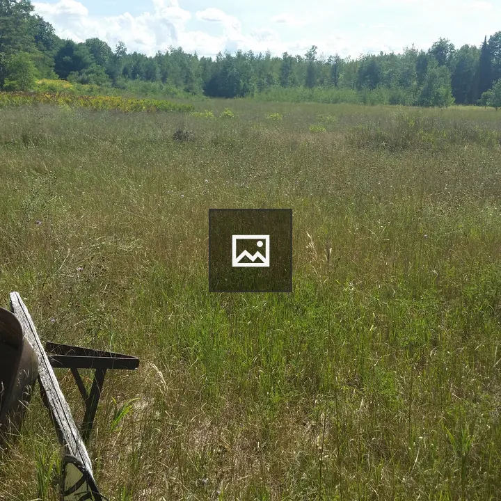 Abandoned wheelbarrow in a field