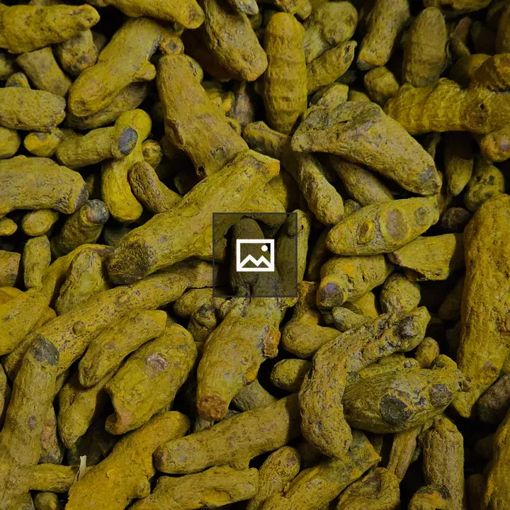 Dried turmeric roots close-up