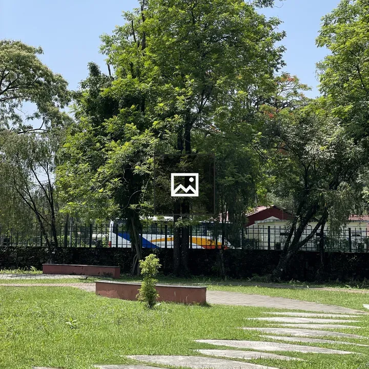 Park scene with trees and path