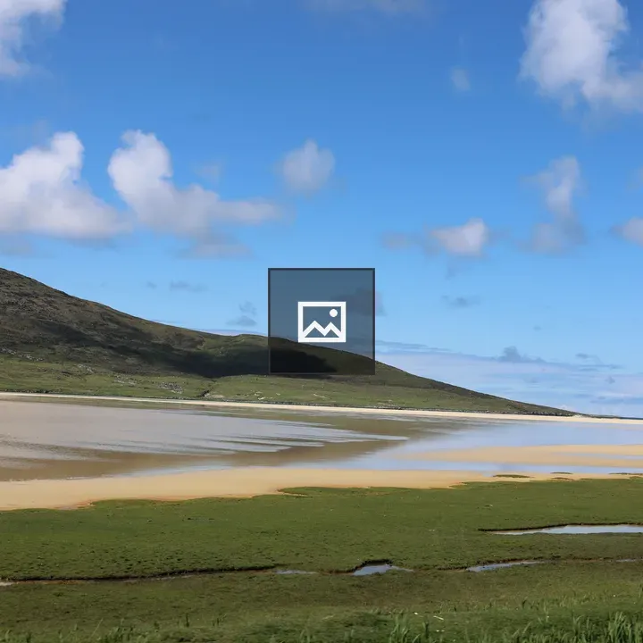Beach Scene with Clear Sky