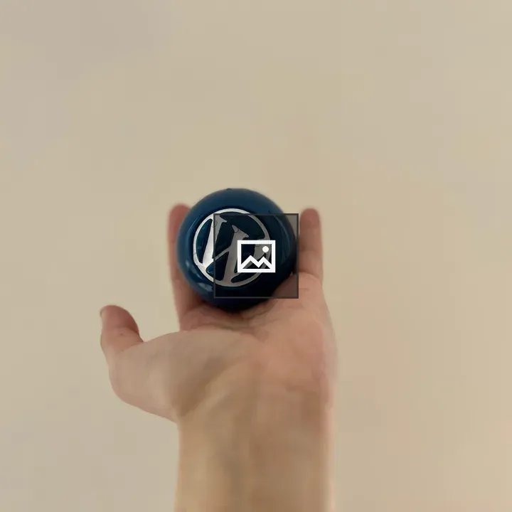 Ball in Palm Toy