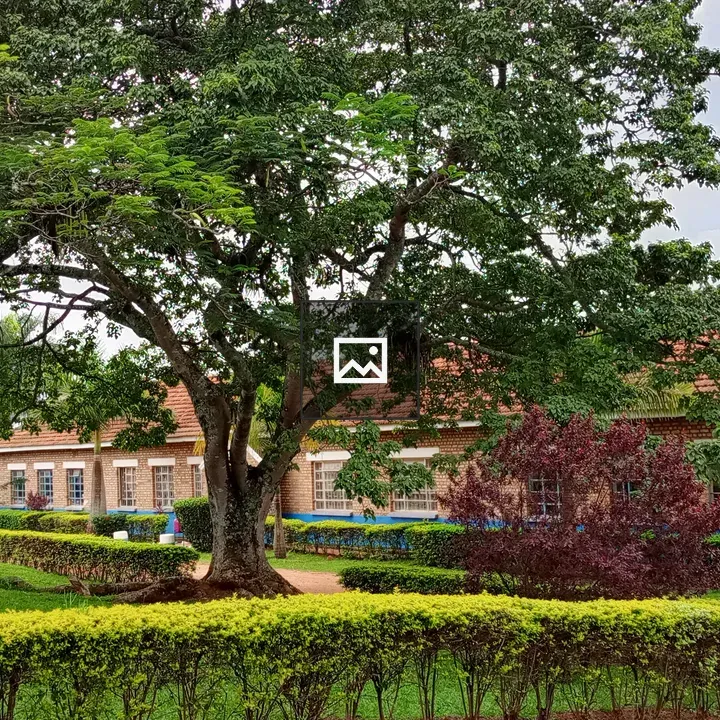 Brick Building with Greenery