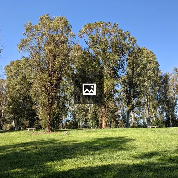 Park in Rome