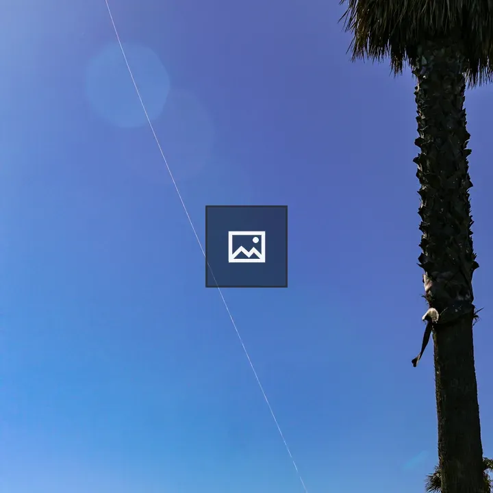 Blue sky with a kite and palm trees