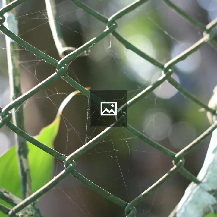 Green metal fence close-up