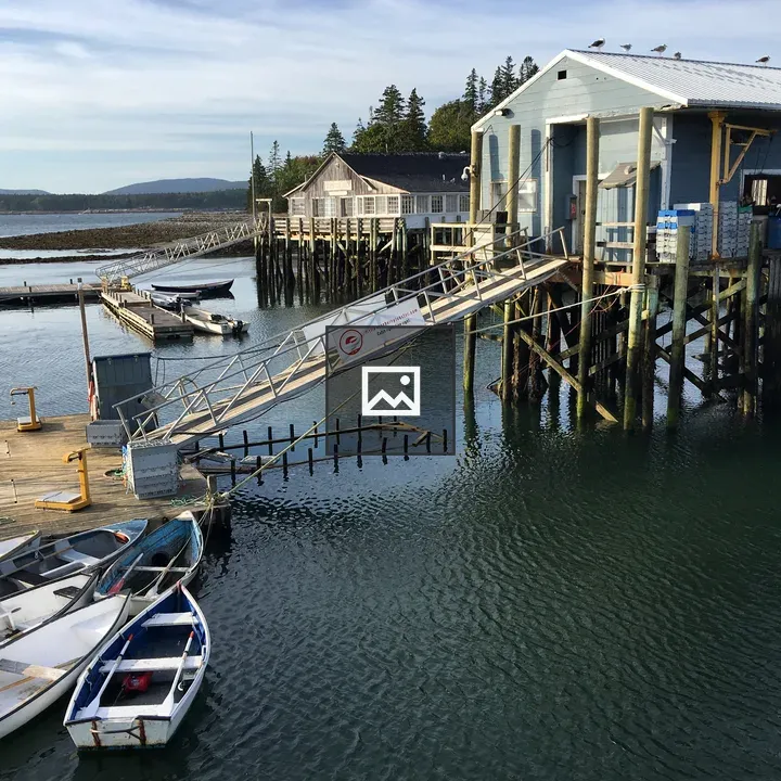 Little Cranberry Lobster Co-op