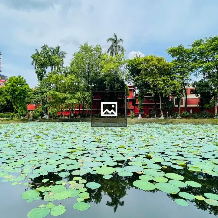 Pond with lily pads and construction backdrop