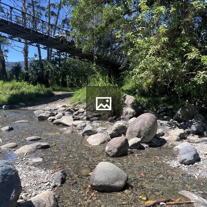 Suspension bridge over stream