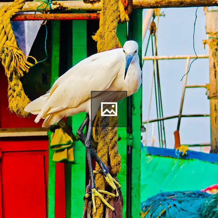 White bird with blue beak on boat rigging