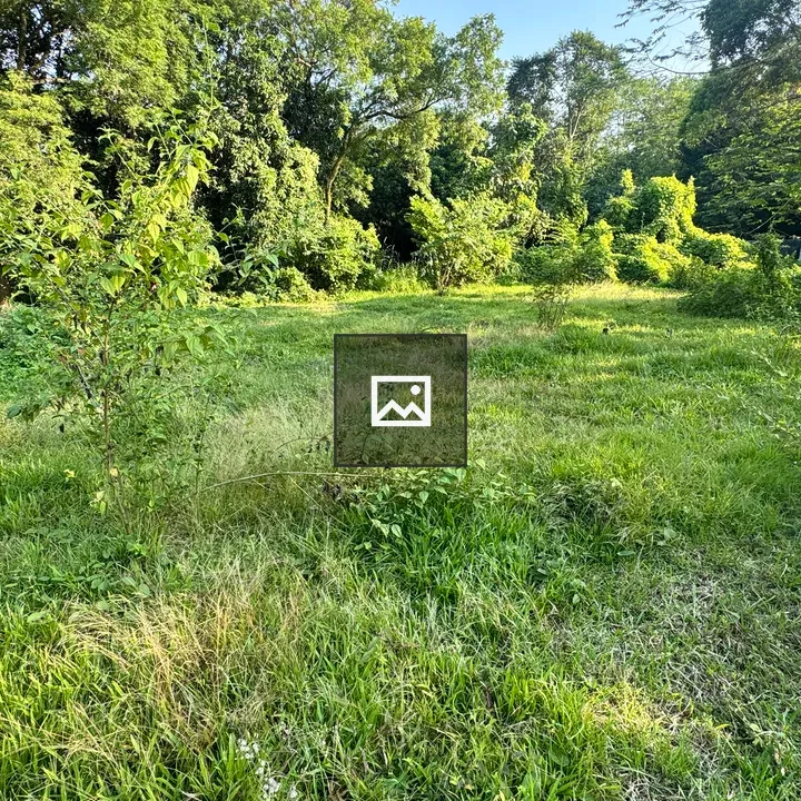 Green Field Surrounded by Trees
