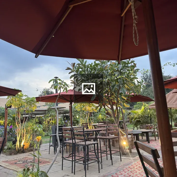 Outdoor patio with red umbrellas