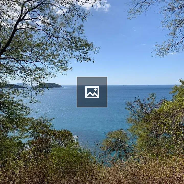 Turquoise Ocean with Tropical Framing