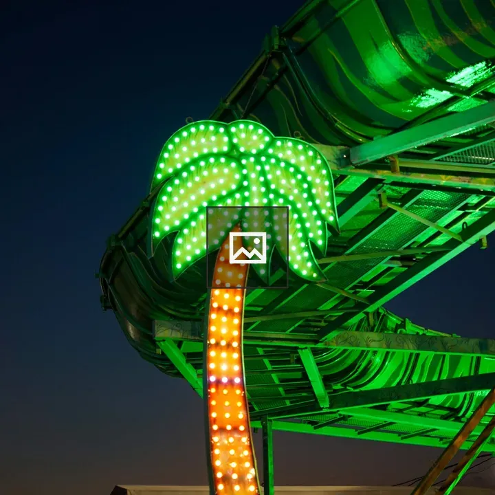 Illuminated palm tree sign at night