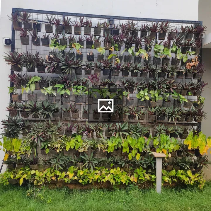 Vertical wall garden with potted plants