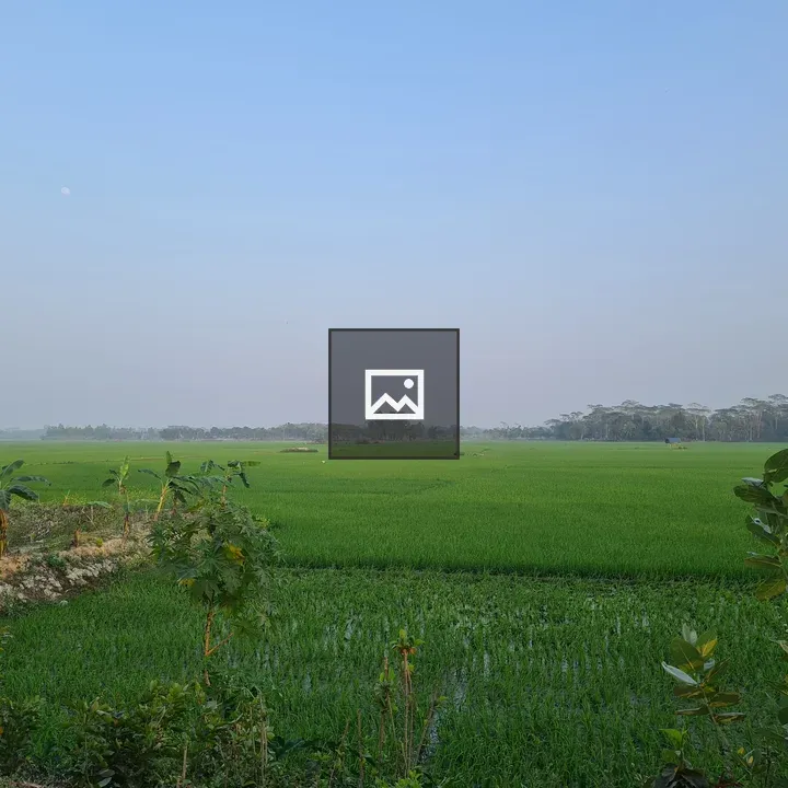 Village Crops Fields