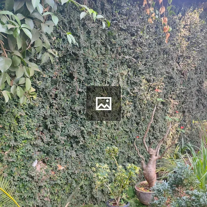 Wall Covered in Greenery