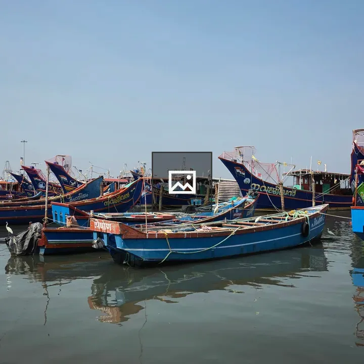Blue fishing boats in Kochi harbor