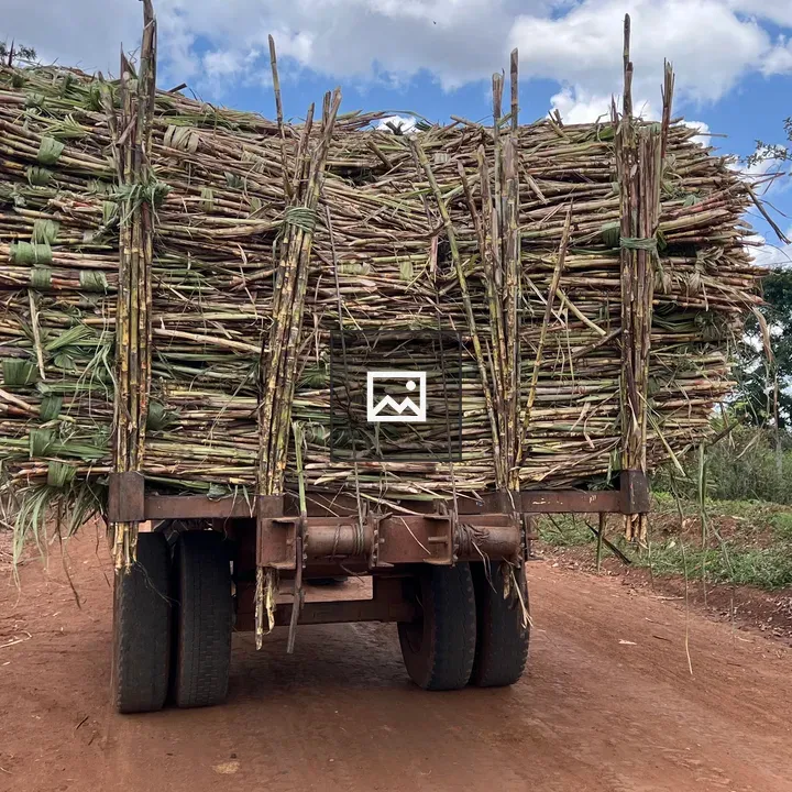Tractor with Sugarcane in Kaliro