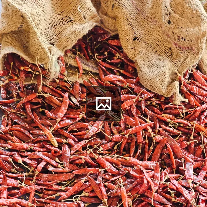 Bright red dried chilies in jute sack