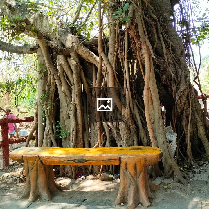 Seating bench under tree shade