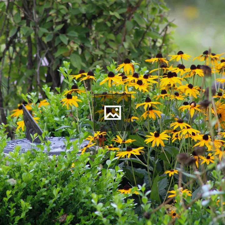 Sun dial in flower garden