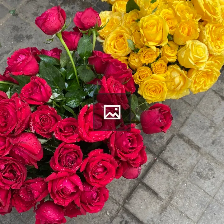 Bouquet of Red and Yellow Roses