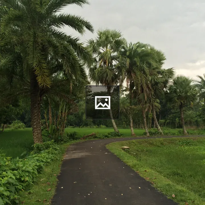 Village road after rain with palm trees