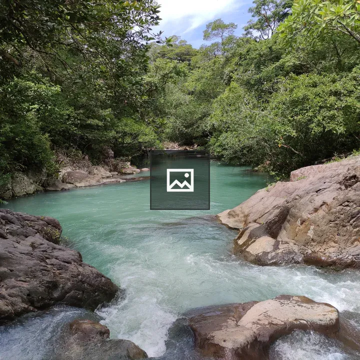 Turquoise River Through Green Forest