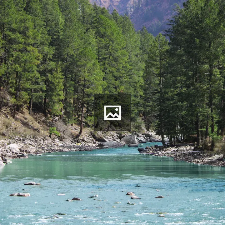 Parvati River with Green Trees