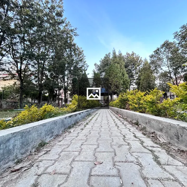 Walking trail in park