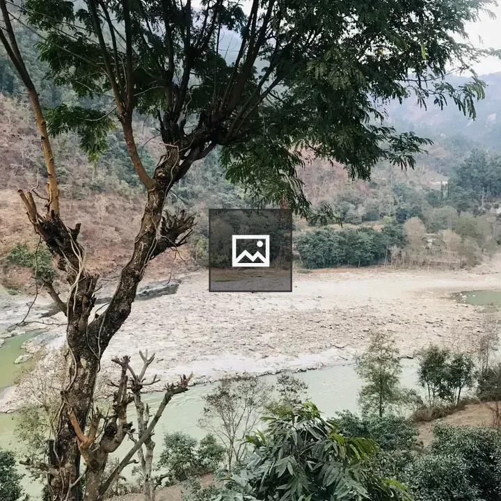Tree by the river view