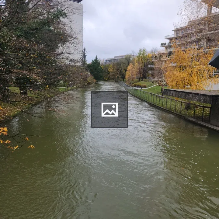 River scene with water and trees