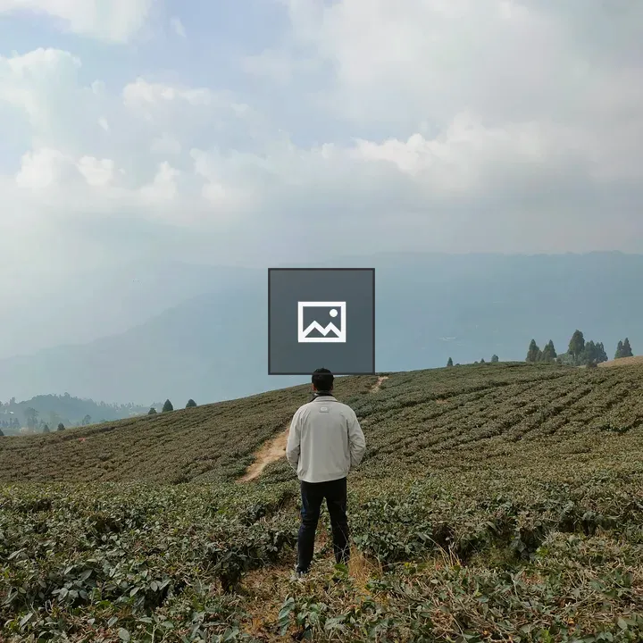 Person in White Jacket in Tea Plantation