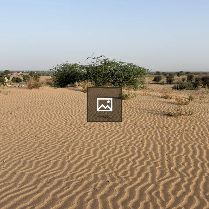 Desert landscape with rolling dunes