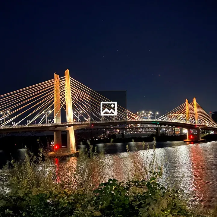 Tilikum Crossing at Night Lights