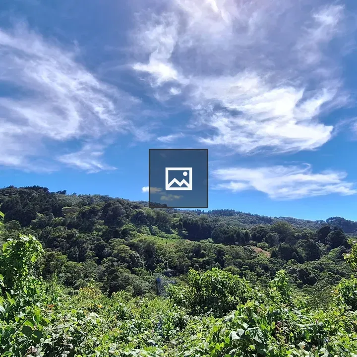 Finca La Cayetana Lookout Landscape