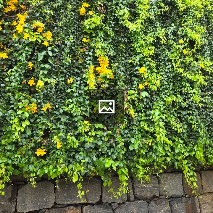 Cascading green wall with yellow flowers