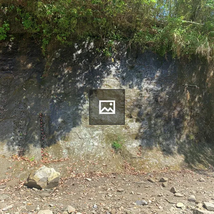 Rock wall with vegetation
