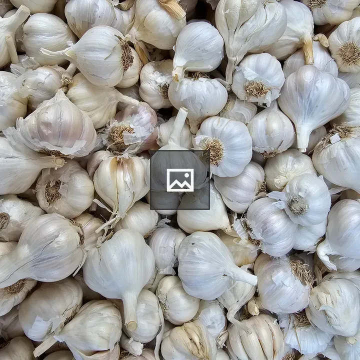 Bulbs of garlic at stall